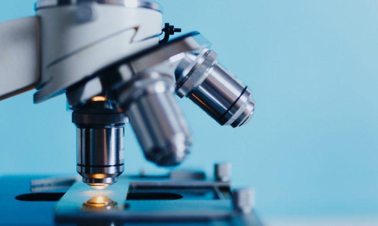 Dlaczego Obserwacje Mikroskopowe Zaczynamy Od Najmniejszego Powiekszenia Dlaczego obserwacje mikroskopowe zaczynamy od najmniejszego